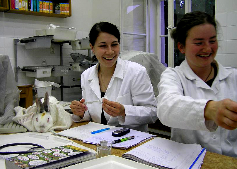 farma3.JPG